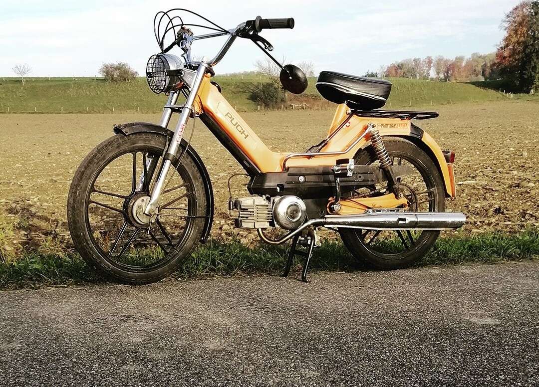 Maxi S von Leon Maxi S von Leon