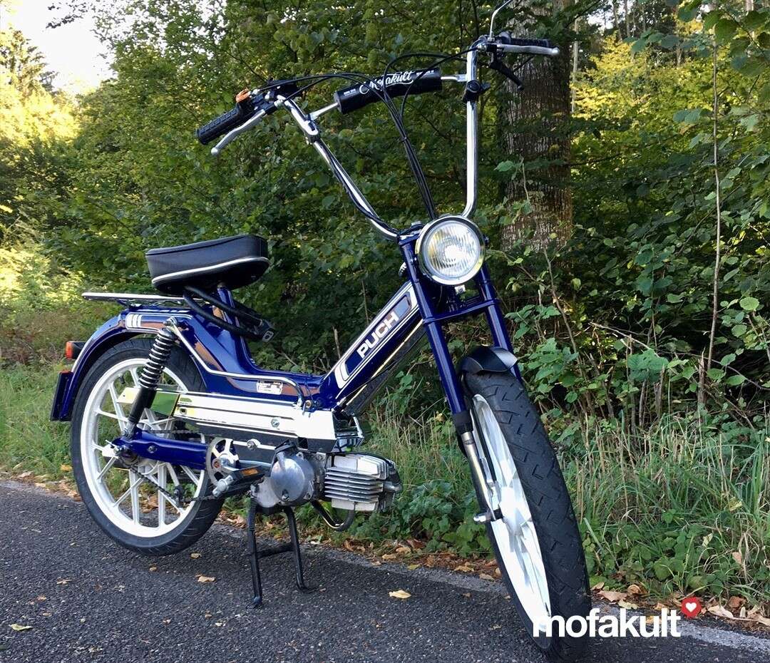 Maxi S im RedBull Blau von Patrik  Maxi S im RedBull Blau von Patrik