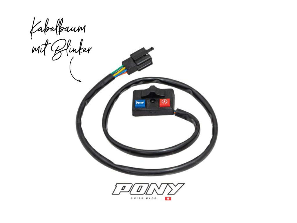 Kabelbaum mit Blinker Pony Beta 521 (E-Start) (P8970) Kabelbaum mit Blinker Pony Beta 521 (E-Start) (P8970)