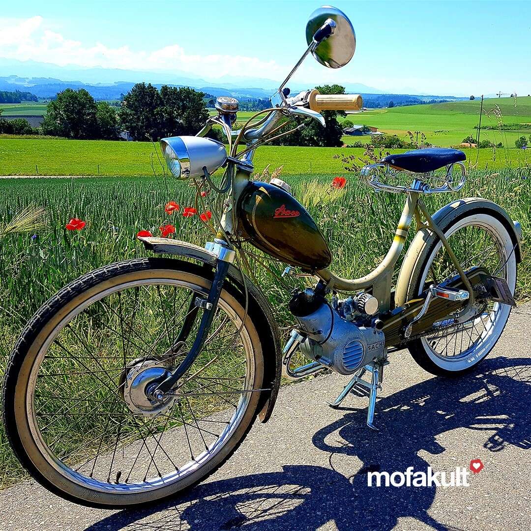 Staco Alpa 31L von Stefan Staco Alpa 31L von Stefan