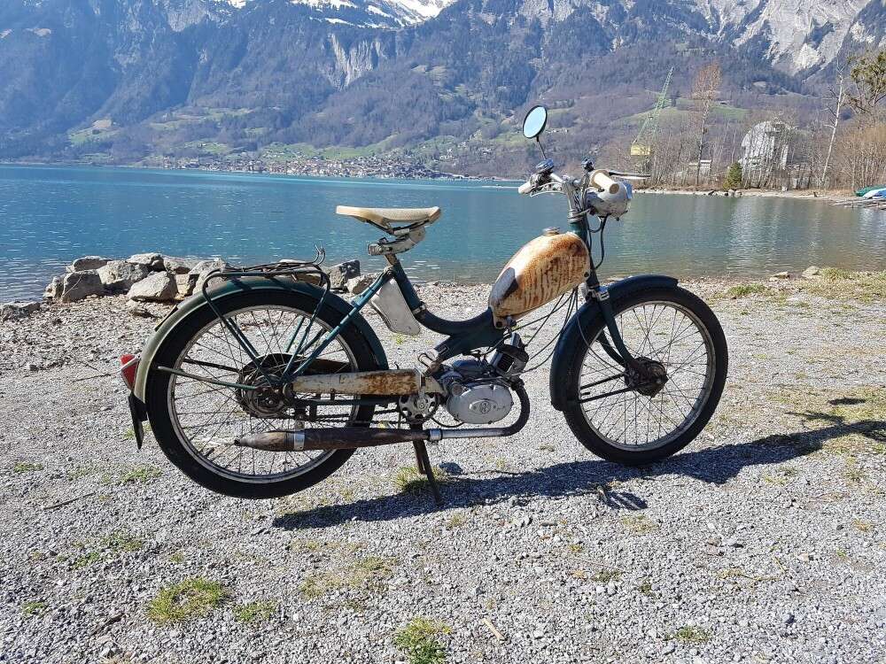 Göricke Pelikan von Fabian Göricke Pelikan von Fabian