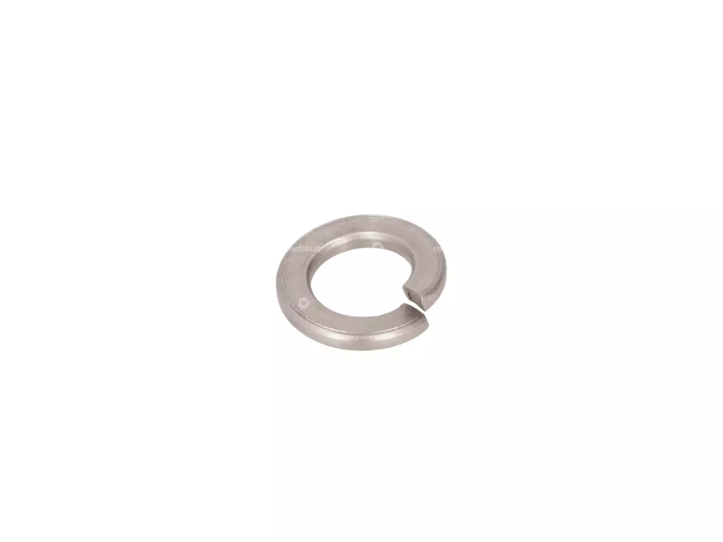 Spring washer M7 Inox | mofakult