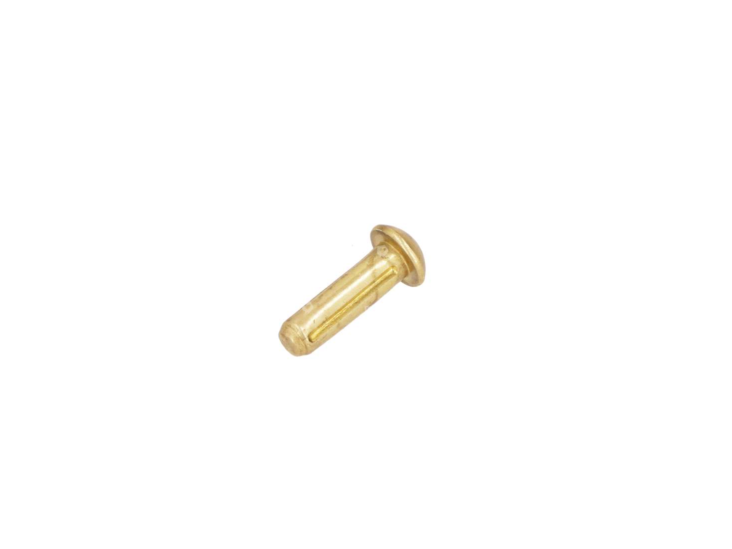 Serrated nail 3 x 10 mm brass Carousel Image 1