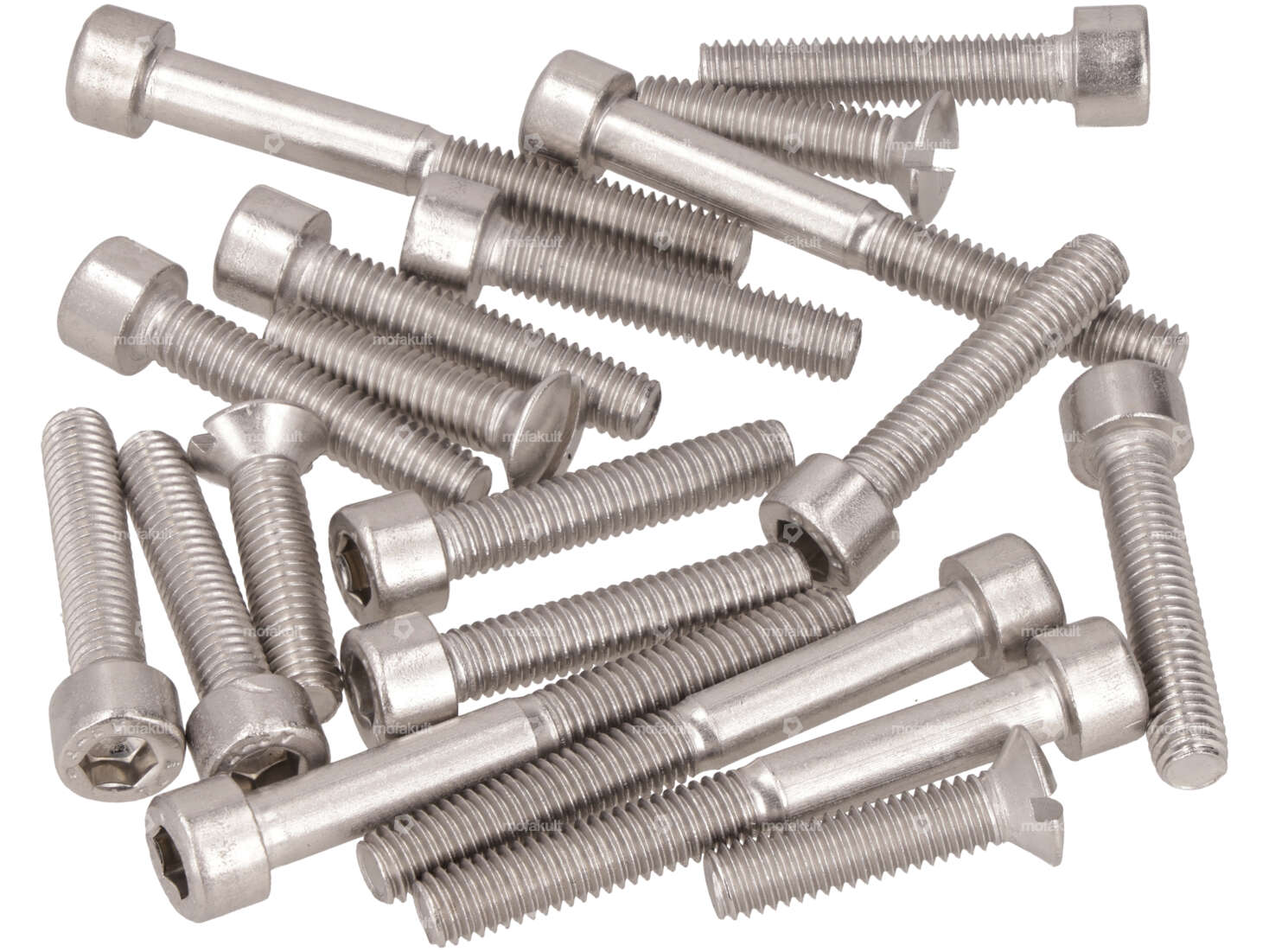 swiing® revival screw set Motor Inox | Puch E50 Carousel Image 1