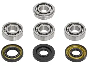 swiing® revival engine revision set (old model) | Puch E50 swiing® revival engine revision set (old model) | Puch E50