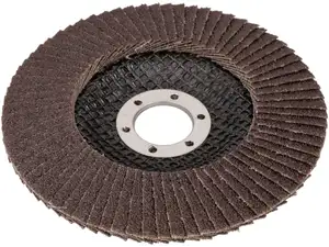 BGS flap grinding wheel Ø 125 (selection K40 - 120) BGS flap grinding wheel Ø 125 (selection K40 - 120)