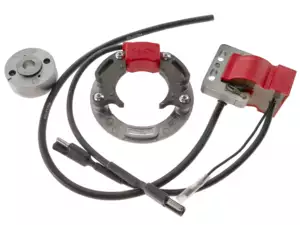 Selettra Innenrotorzündung links-, rechtsdrehend Selettra Innenrotorzündung links-, rechtsdrehend