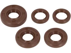 Set di paraoli FPM | Sachs 505 Set di paraoli FPM | Sachs 505