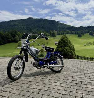 Blue Sport Blue Sport