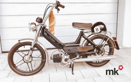 Sachs Pony 503GT von Bruno Sachs Pony 503GT von Bruno